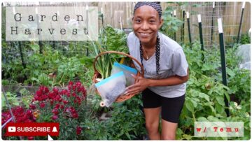 [ID: lGaD9StUr9M] Youtube Automatic