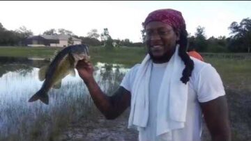 [ID: lgot48TfuNY] Youtube Automatic