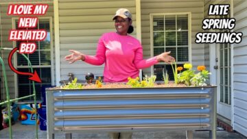 [ID: LhsgrB3vWPM] Youtube Automatic