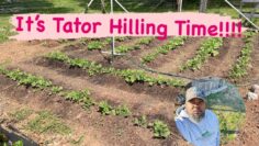 [ID: ljctDyiVR40] Youtube Automatic