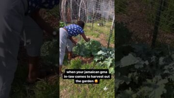 [ID: lLtg5AzqOtE] Youtube Automatic