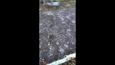 [ID: LMF4bo0455k] Youtube Automatic