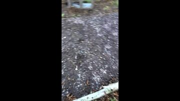 [ID: LMF4bo0455k] Youtube Automatic