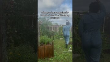 [ID: lpPK3ZTnKes] Youtube Automatic