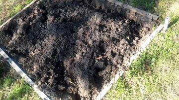 [ID: Lt49NFlJQLs] Youtube Automatic