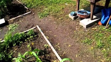 [ID: LutHhyirFJk] Youtube Automatic