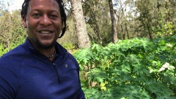 [ID: LWm8kn_E77I] Youtube Automatic