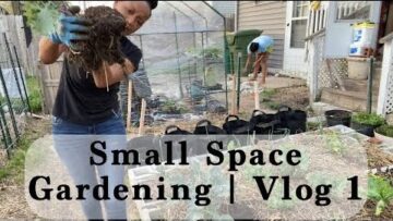 [ID: lwsgYs2yEeE] Youtube Automatic