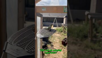 [ID: LZkuK_TxOgU] Youtube Automatic