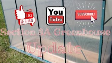 [ID: m2-ug75HvsQ] Youtube Automatic