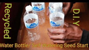 [ID: M4gbZd2S-k4] Youtube Automatic