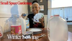 [ID: M8WZO0Flw_U] Youtube Automatic