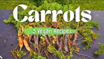 [ID: MbBeURlQ3Ik] Youtube Automatic