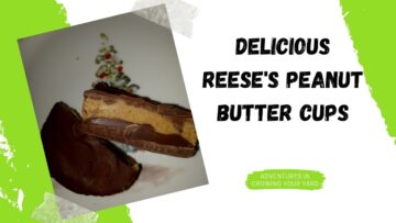 [ID: mc0-B2w6DDc] Youtube Automatic