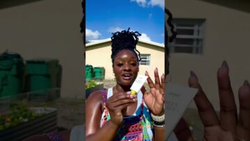 [ID: mFE6EXNYMrE] Youtube Automatic