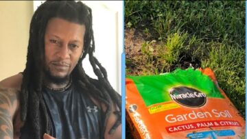 [ID: MHqHVtiq3dE] Youtube Automatic