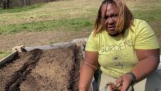 [ID: MHuVgIbHViM] Youtube Automatic