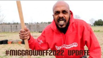 [ID: MI5dzBbw4OI] Youtube Automatic