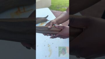 [ID: mIdlUImlqtM] Youtube Automatic