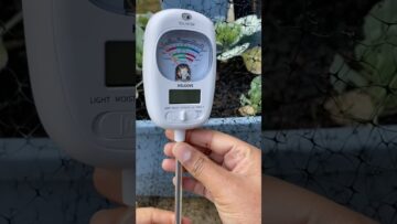 [ID: miiDYjxVITU] Youtube Automatic