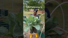 [ID: Mj4XEGO6uPk] Youtube Automatic