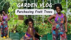 [ID: m_jAhWHstb4] Youtube Automatic