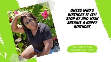 [ID: mkOlfMlwfdc] Youtube Automatic