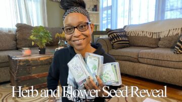 [ID: MKTurtv4zLA] Youtube Automatic