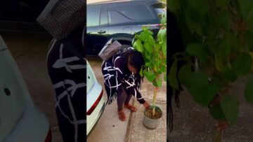 [ID: mll5fg0P90U] Youtube Automatic