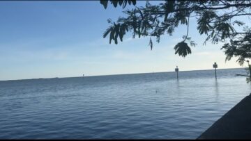 [ID: mN-1SX1U0Bc] Youtube Automatic