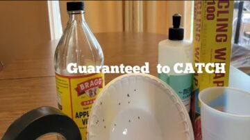 [ID: -moz_CrDdk4] Youtube Automatic