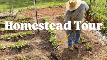 [ID: MpfCNtBaKEE] Youtube Automatic