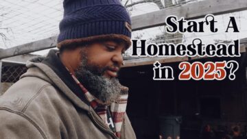 [ID: MS3-2C51ML8] Youtube Automatic