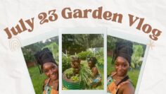 [ID: mYikljeUVVU] Youtube Automatic