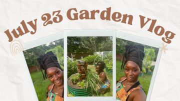 [ID: mYikljeUVVU] Youtube Automatic