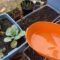Reasons Why I Collect #rainwater  For My Garden And You Should to