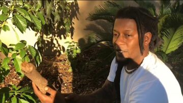 [ID: n1iUCUfTR4E] Youtube Automatic