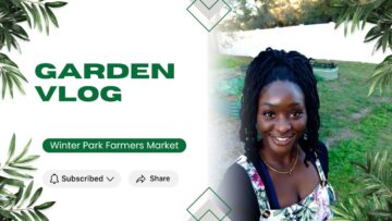 [ID: N2-VwaxoXj0] Youtube Automatic