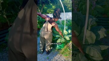 [ID: N3_0FtR_0fc] Youtube Automatic