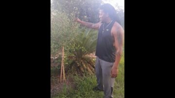 [ID: Nay3G1JVrlY] Youtube Automatic