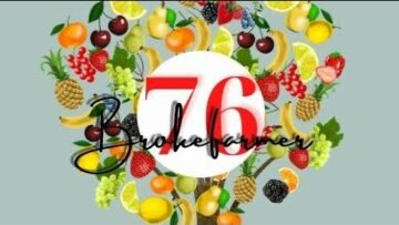 [ID: nCb5VpWj1vg] Youtube Automatic