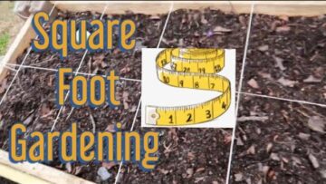 [ID: nDpD2QP9_EM] Youtube Automatic