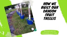 [ID: _ng859QgYs8] Youtube Automatic