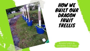 [ID: _ng859QgYs8] Youtube Automatic