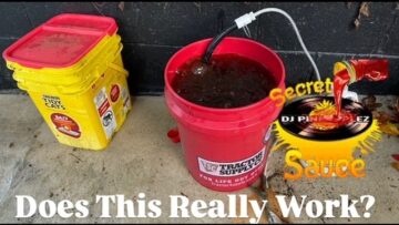 [ID: nj2WVjPE4lc] Youtube Automatic