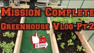 [ID: nM6oekfB2xU] Youtube Automatic