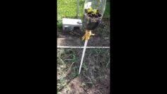 [ID: NmABRj5FpbY] Youtube Automatic