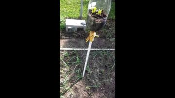 [ID: NmABRj5FpbY] Youtube Automatic