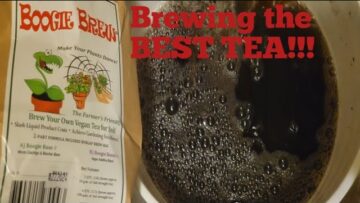 [ID: No_HZtWis9s] Youtube Automatic