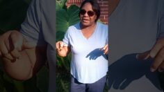 [ID: noXPvVgNkPQ] Youtube Automatic